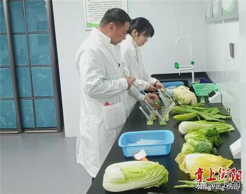 守护市民舌尖上的安全 衡阳西园市场成立食用农产品快检中心