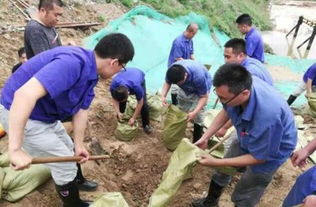 天津红桥区6批次食用农产品抽检全合格，市场消费信心稳步提升
